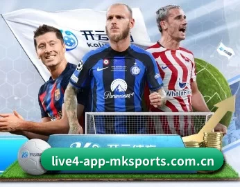 mk体育官网 APP 深度功能